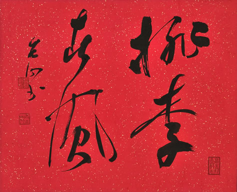 �����t��