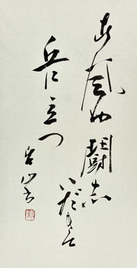 ���l���q�̋�